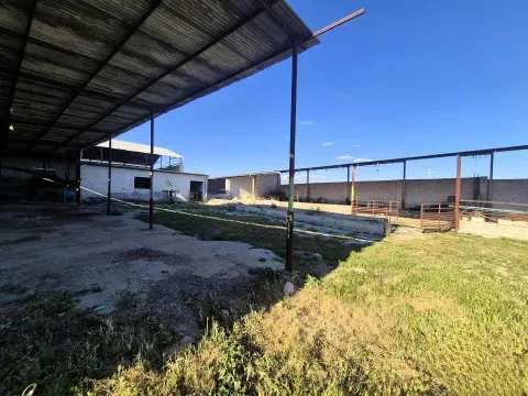 3,405 m² Land for Sale in Íllora, Granada with Barn - photo 5 of 12 (Íllora)