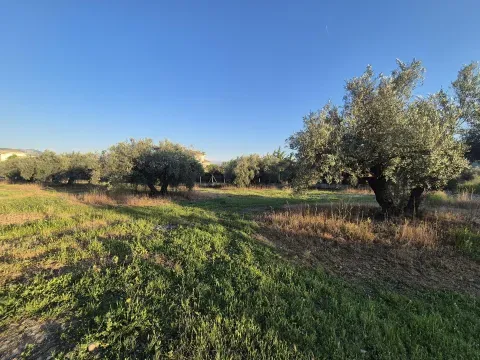 Solar Urbano en Venta en Atarfe, Granada | 2.491 m² - foto 9 de 10 (Atarfe)