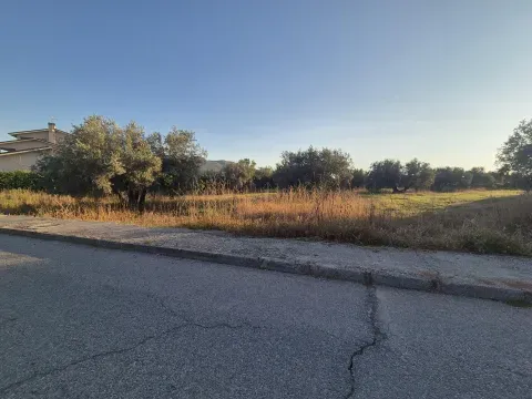Solar Urbano en Venta en Atarfe, Granada | 2.491 m² - foto 3 de 10 (Atarfe)