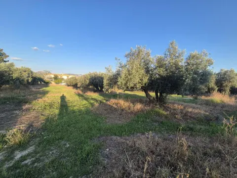 Solar Urbano en Venta en Atarfe, Granada | 2.491 m² - foto 8 de 10 (Atarfe)