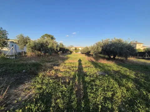 Solar Urbano en Venta en Atarfe, Granada | 2.491 m² - foto 6 de 10 (Atarfe)