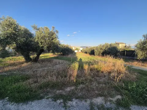 Solar Urbano en Venta en Atarfe, Granada | 2.491 m² - foto 7 de 10 (Atarfe)