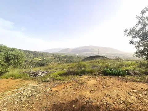 Finca rústica en venta en Loja, Granada - foto 12 de 12 (Loja)