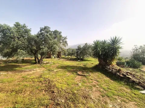Finca rústica en venta en Loja, Granada - foto 10 de 12 (Loja)