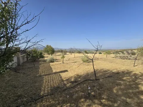Parcelas Rústicas en Venta en Moraleda de Zafayona - foto 5 de 12 (Moraleda de Zafayona)