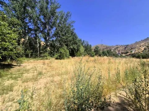 Venta Finca Rústica de Regadío en Loja | 1.000 m² - foto 8 de 12 (Loja)