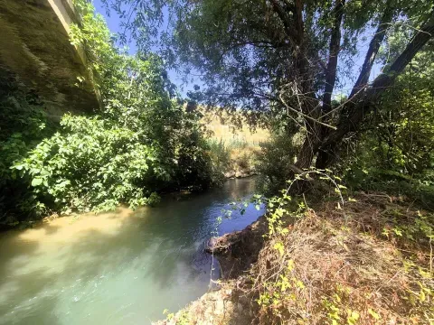 Venta Finca Rústica de Regadío en Loja | 1.000 m² - foto 3 de 12 (Loja)