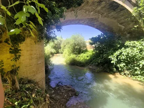Venta Finca Rústica de Regadío en Loja | 1.000 m² - foto 9 de 12 (Loja)