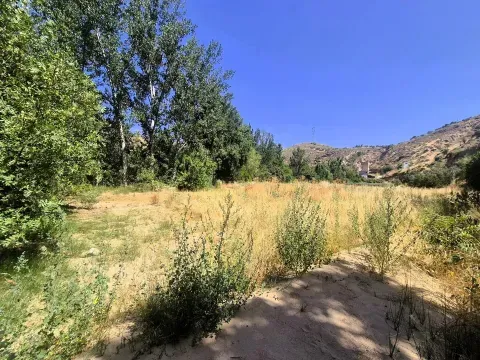 Venta Finca Rústica de Regadío en Loja | 1.000 m² - foto 6 de 12 (Loja)