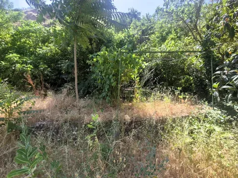 Venta Finca Rústica de Regadío en Loja | 1.000 m² - foto 2 de 12 (Loja)