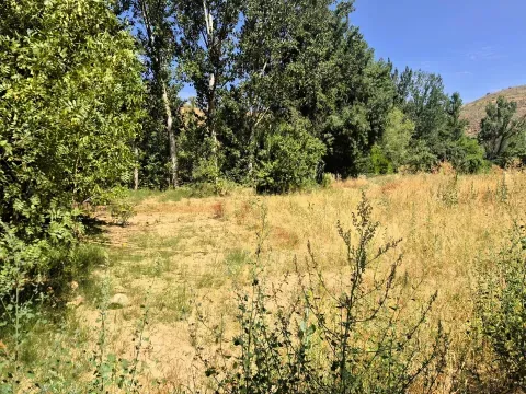 Venta Finca Rústica de Regadío en Loja | 1.000 m² - foto 7 de 12 (Loja)