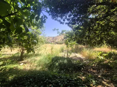Venta Finca Rústica de Regadío en Loja | 1.000 m² - foto 11 de 12 (Loja)
