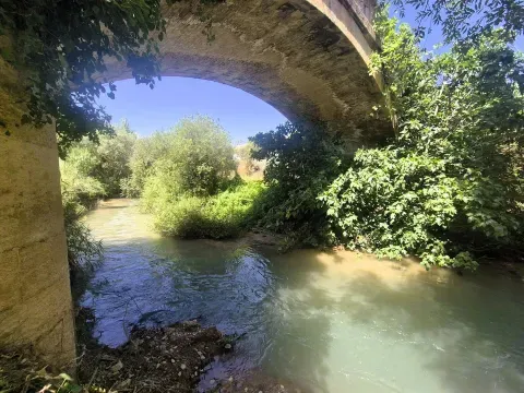Venta de finca rústica en Loja