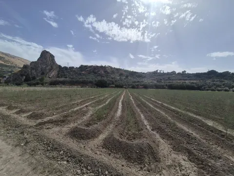 Terreno de Regadío en Venta en Loja, Granada - foto 9 de 11 (Loja)