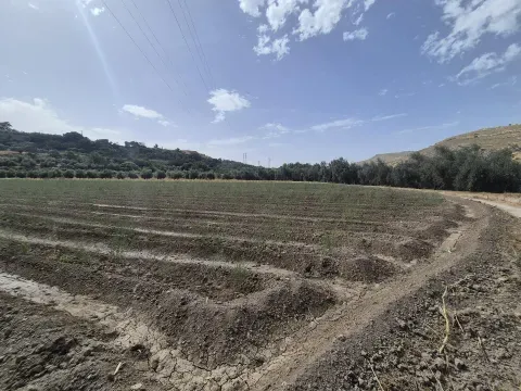 Terreno de Regadío en Venta en Loja, Granada - foto 10 de 11 (Loja)