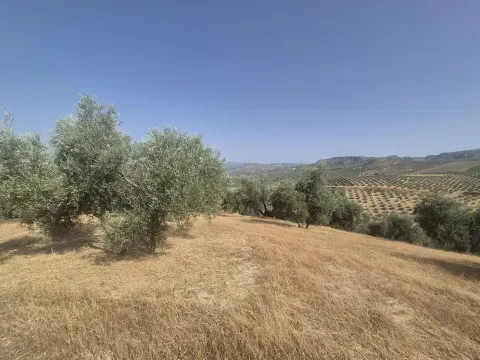 Venta de finca rústica de 14.200 m² en Loja