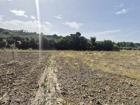 Irrigated Farmland for Sale in Loja, Spain | 3,515m² - photo 2 of 9 (Loja)