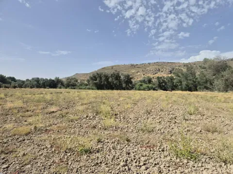 Irrigated Farmland for Sale in Loja, Spain | 3,515m² - photo 8 of 9 (Loja)