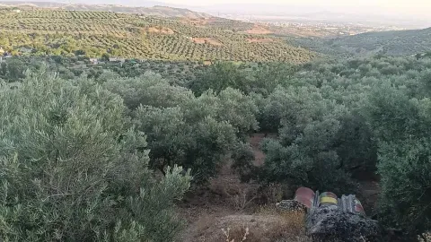 Terreno rústico en venta en Alfacar, Granada | 8.650m² - foto 5 de 7 (Alfacar)