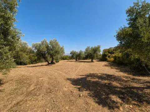 Magnífica finca rústica de 25.000 m² en la Dehesa de los Montes