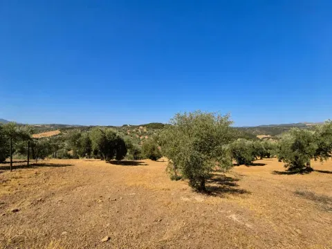 Finca rústica en venta en Loja, Granada | 25.000 m² - foto 7 de 12 (Loja)