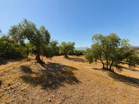 Finca rústica en venta en Loja, Granada | 25.000 m² - foto 3 de 12 (Loja)