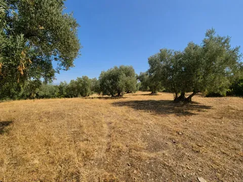 Finca rústica en venta en Loja, Granada | 25.000 m² - foto 2 de 12 (Loja)
