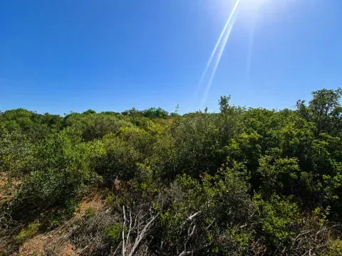 Finca rústica en venta en Loja, Granada | 25.000 m² - foto 5 de 12 (Loja)