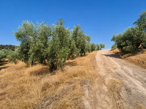Finca rústica en venta en Loja, Granada | 25.000 m² - foto 12 de 12 (Loja)