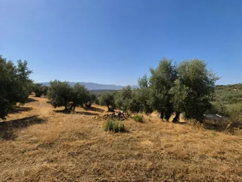 Finca rústica en venta en Loja, Granada | 25.000 m² - foto 11 de 12 (Loja)