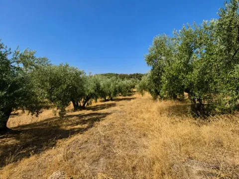 Finca rústica en venta en Loja, Granada | 25.000 m² - foto 8 de 12 (Loja)