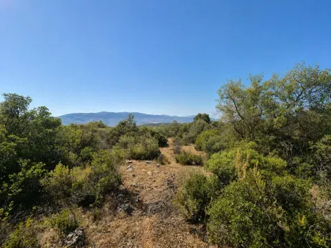 Finca rústica en venta en Loja, Granada | 25.000 m² - foto 9 de 12 (Loja)