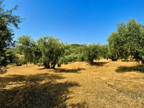 Finca rústica en venta en Loja, Granada | 25.000 m² - foto 6 de 12 (Loja)