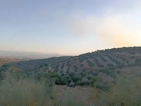 Terreno Rústico con Olivos en Alfacar, Granada | Venta - foto 3 de 8 (Alfacar)