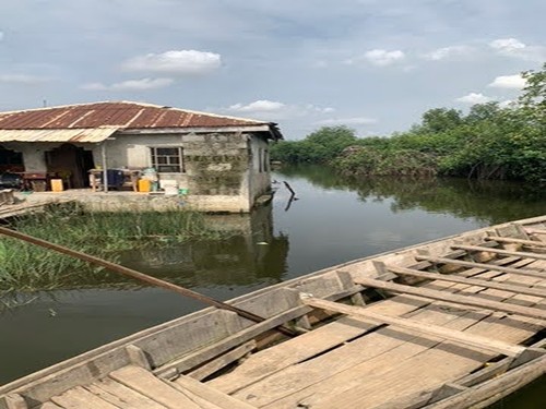 Oko Agbon