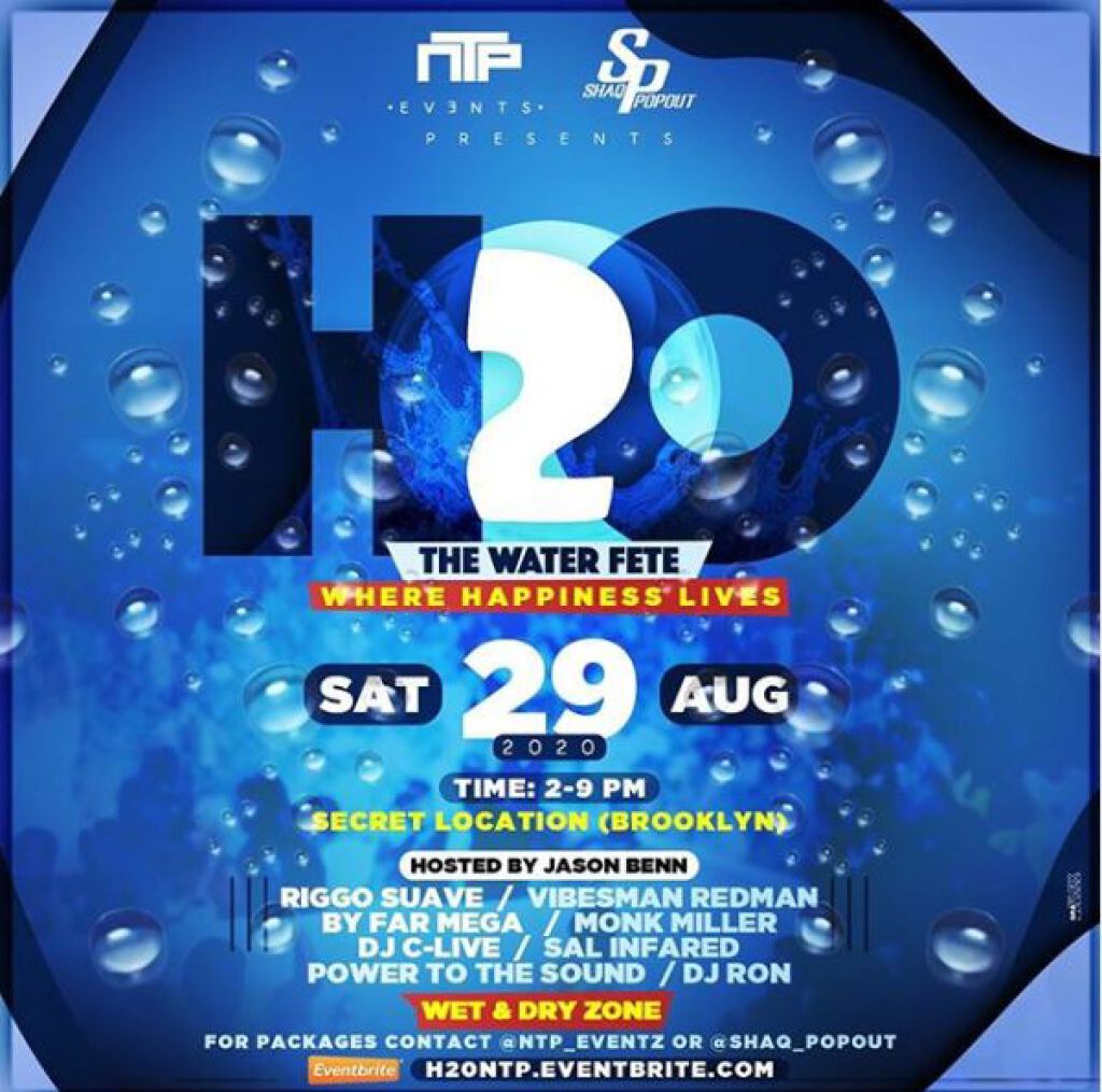 H20- The Water Fete flyer or graphic.