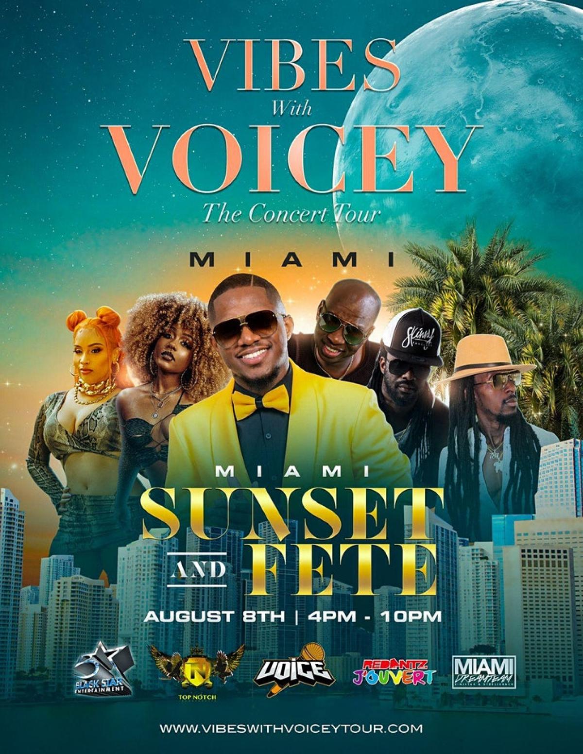 Vibes With Voicey: The Concert Tour Miami flyer or graphic.