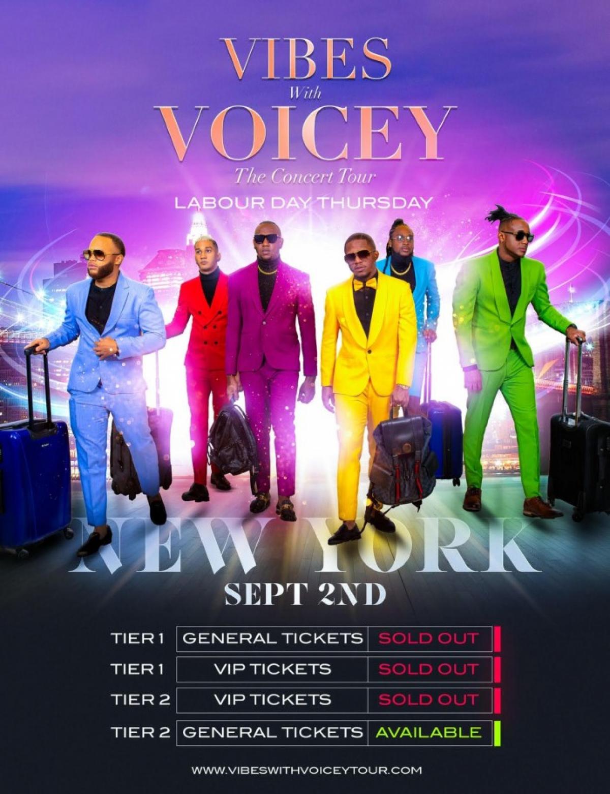 Vibes With Voicey: The Concert Tour New York flyer or graphic.