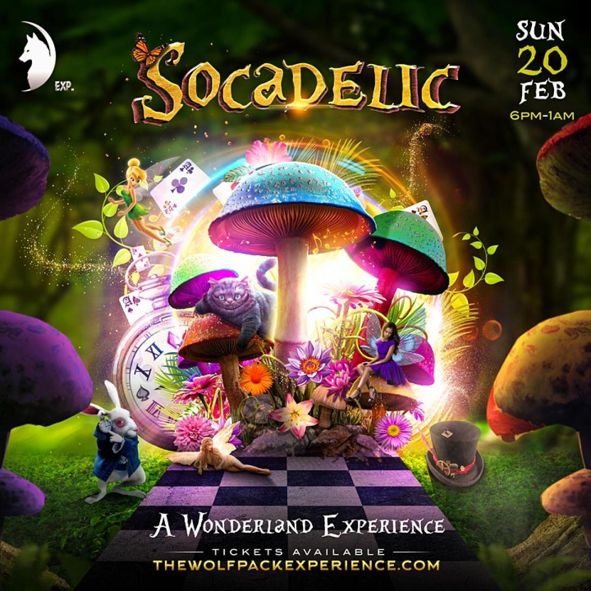 Socadelic: The Wonderland Experience flyer or graphic.