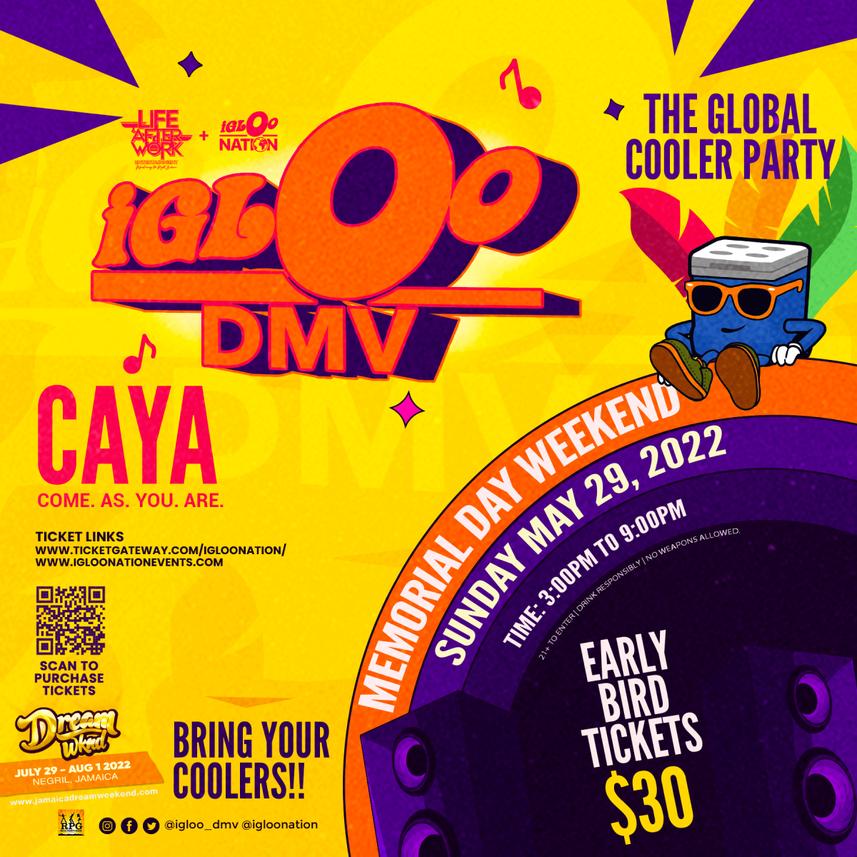 Igloo DMV flyer or graphic.