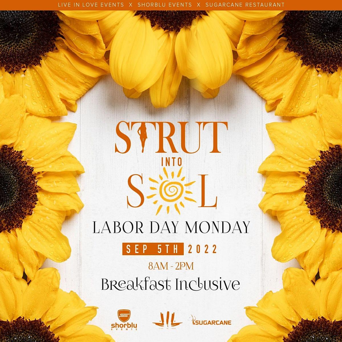 Strut Into Sol flyer or graphic.