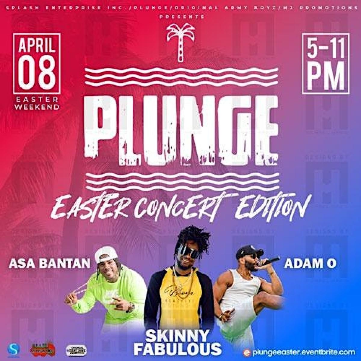 Plunge Easter Concert Edition flyer or graphic.