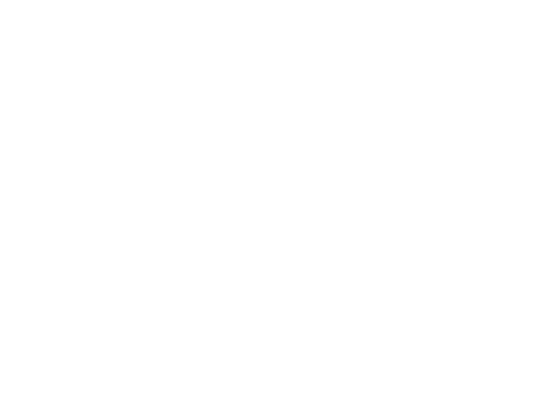 Int'l Stephen