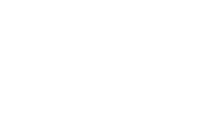 Paddy International