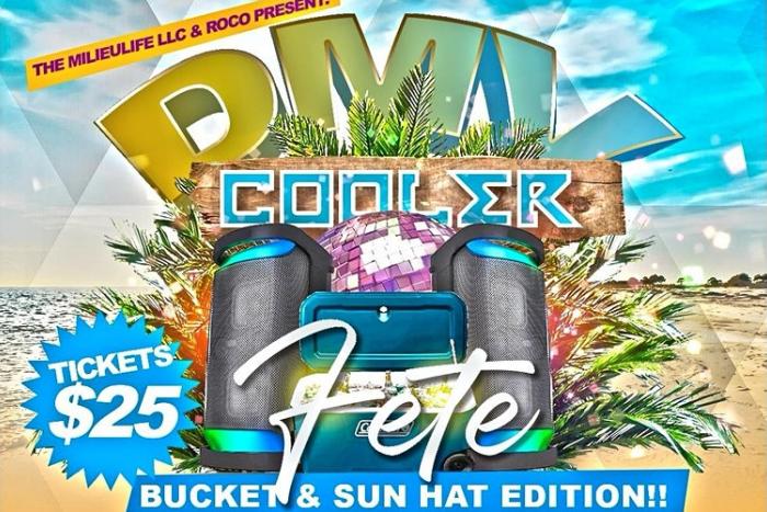 TheMiliEulife LLC & Roco present The DMV Cooler Fete