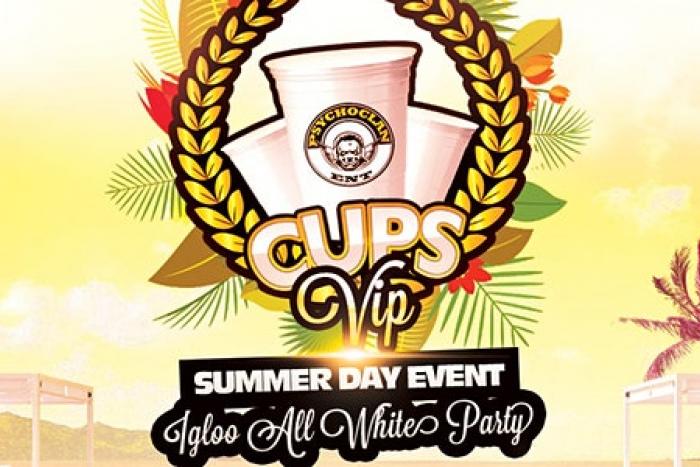 Cups VIP All Whtie Cooler Fete