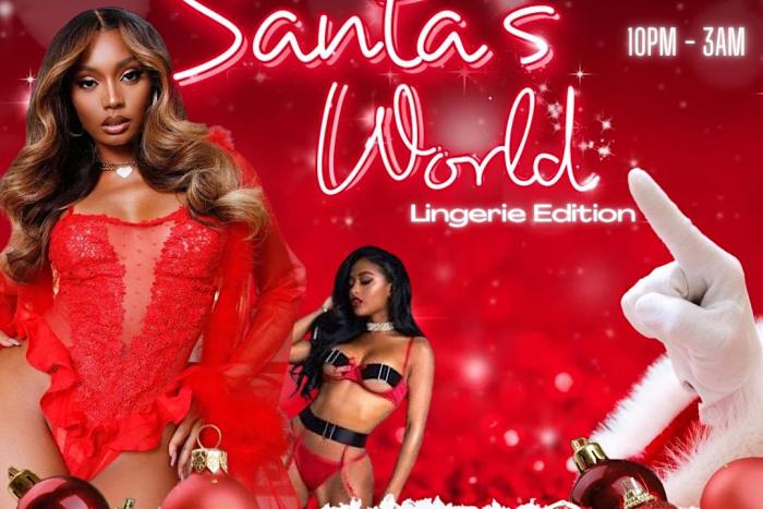 Santa's World Lingerie Edition