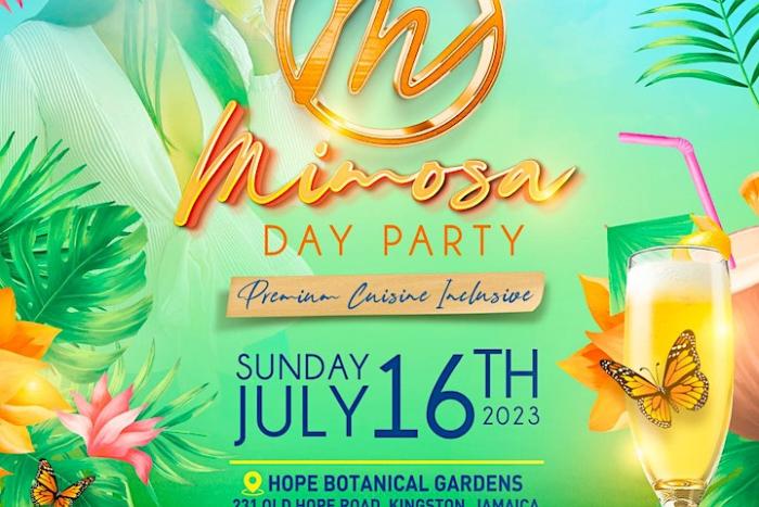 Mimosa - Day Party