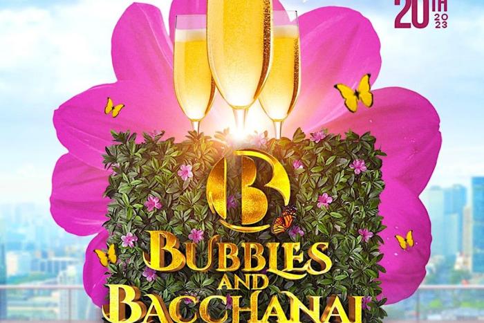 Bubbles & Bacchanal: The Brunch & Day Party Experience