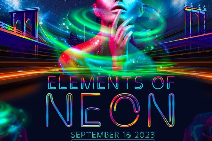 Elements Of Neon